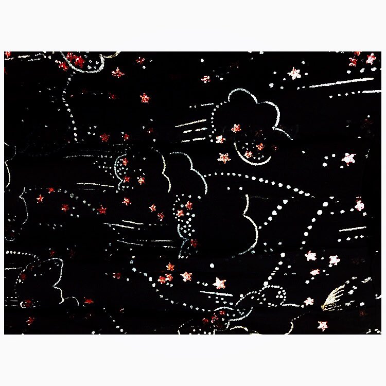 Selena Gomez Revival tour costume fabric photo Chris Classen