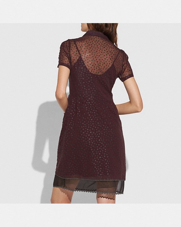 Coach Star Print Shirt Dress back view