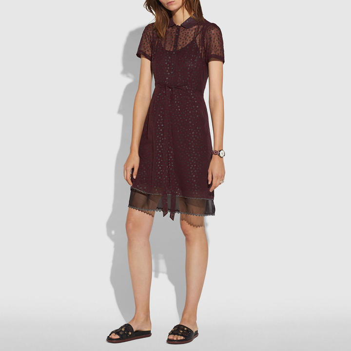 Coach Star Print Shirt Dress