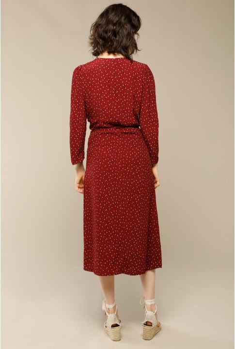 Rouje Gabin dress with dots print back view