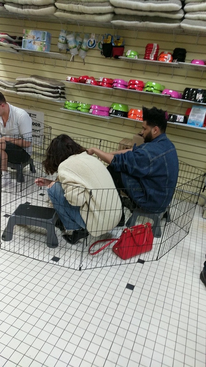 Selena Gomez in a pet store photo ss_nothing