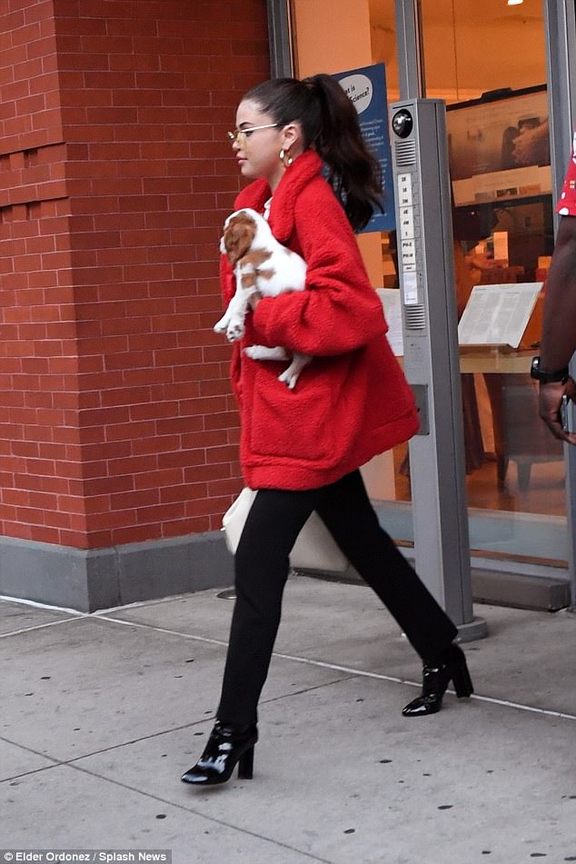 Selena Gomez red fleece coat black boots gold hoop earrings puppy September 2017 photo Elder Ordonez Spalsh News Selena Gomez street style