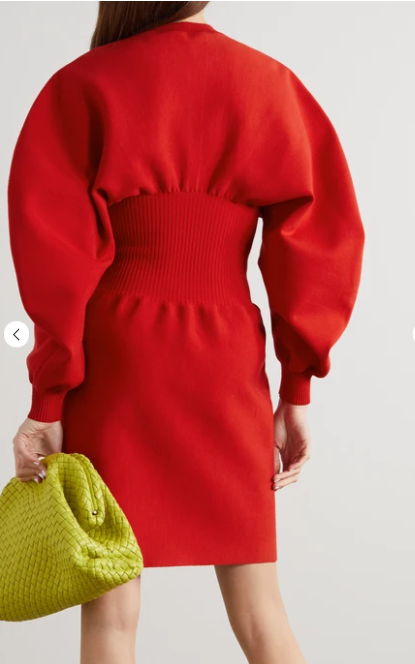 Bottega Veneta Wool Blend Mini Dress back view